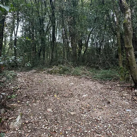 Exclusiva Con Bosque Privado, Barbacoa Y Gran Jardin *