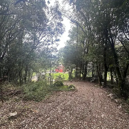 Exclusiva Con Bosque Privado, Barbacoa Y Gran Jardin Villa